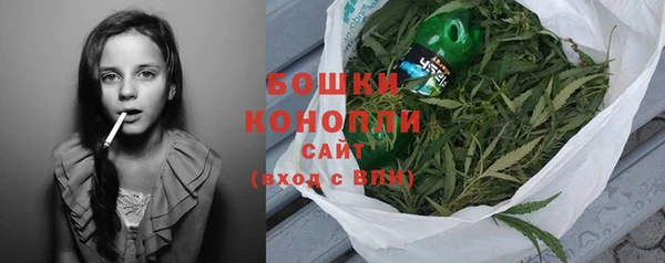 ПСИЛОЦИБИНОВЫЕ ГРИБЫ Заволжье