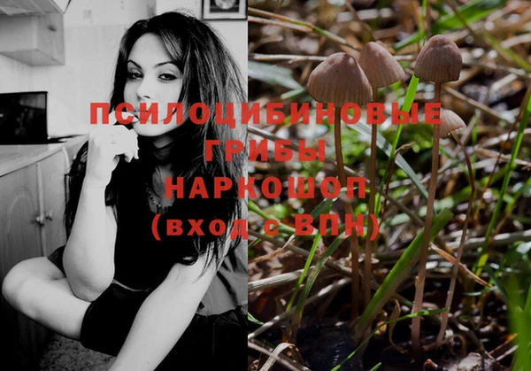 мескалин Заводоуковск