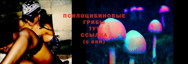 мескалин Заводоуковск