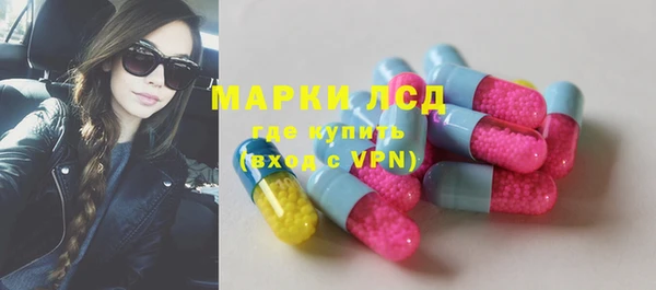ПСИЛОЦИБИНОВЫЕ ГРИБЫ Заволжье