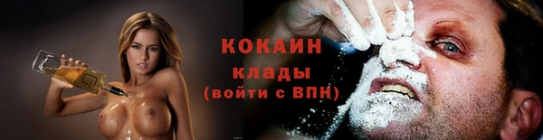 ПСИЛОЦИБИНОВЫЕ ГРИБЫ Заволжье