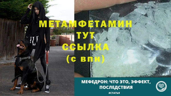 ПСИЛОЦИБИНОВЫЕ ГРИБЫ Заволжье