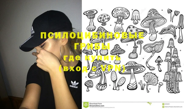 мескалин Заводоуковск