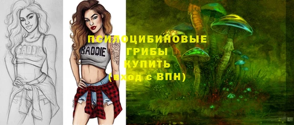 мескалин Заводоуковск