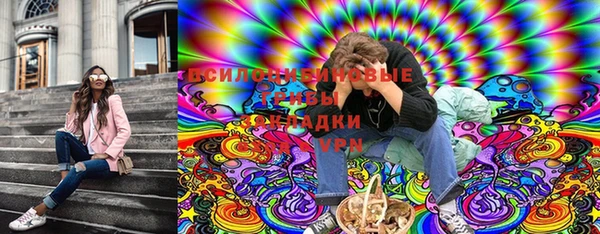 мескалин Заводоуковск