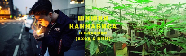 мескалин Заводоуковск